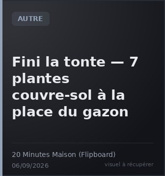 Fini la tonte — 7 plantes couvre-sol à la place du gazon