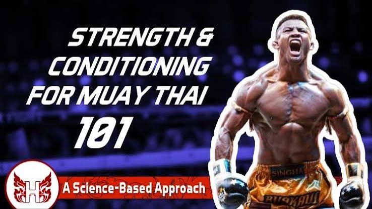 Renforcement — muay thaï