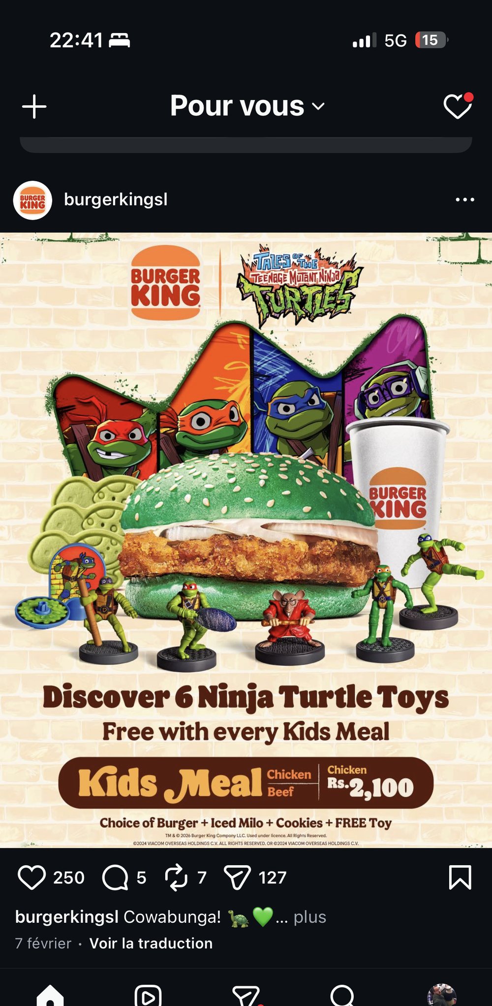 Burger King Ninja Turtle toys kids meal collector
