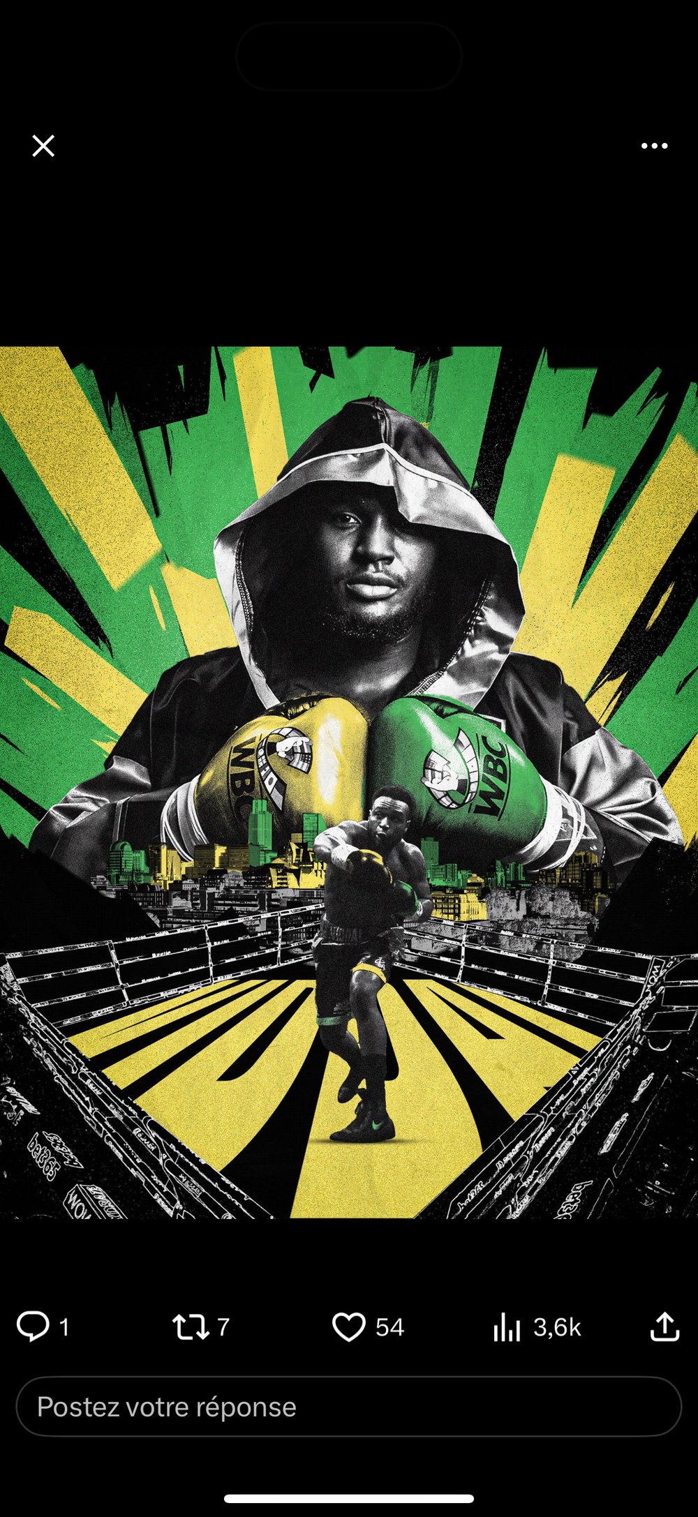 Affiche boxe photomontage gants WBC vert jaune