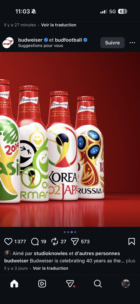 Détail — éditions Corée-Japon 2002 et Russie 2018