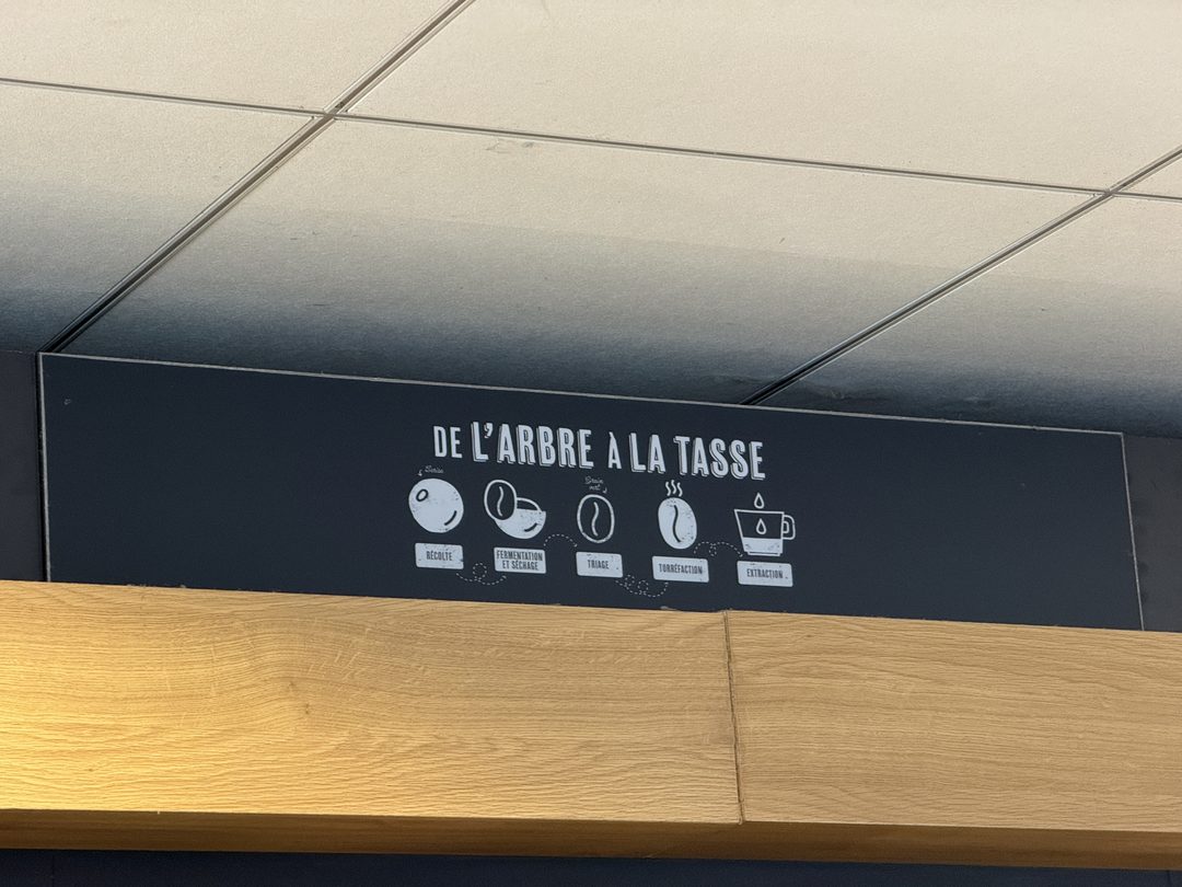 Signaletique cafe pedagogique arbre tasse chiffres arabica robusta