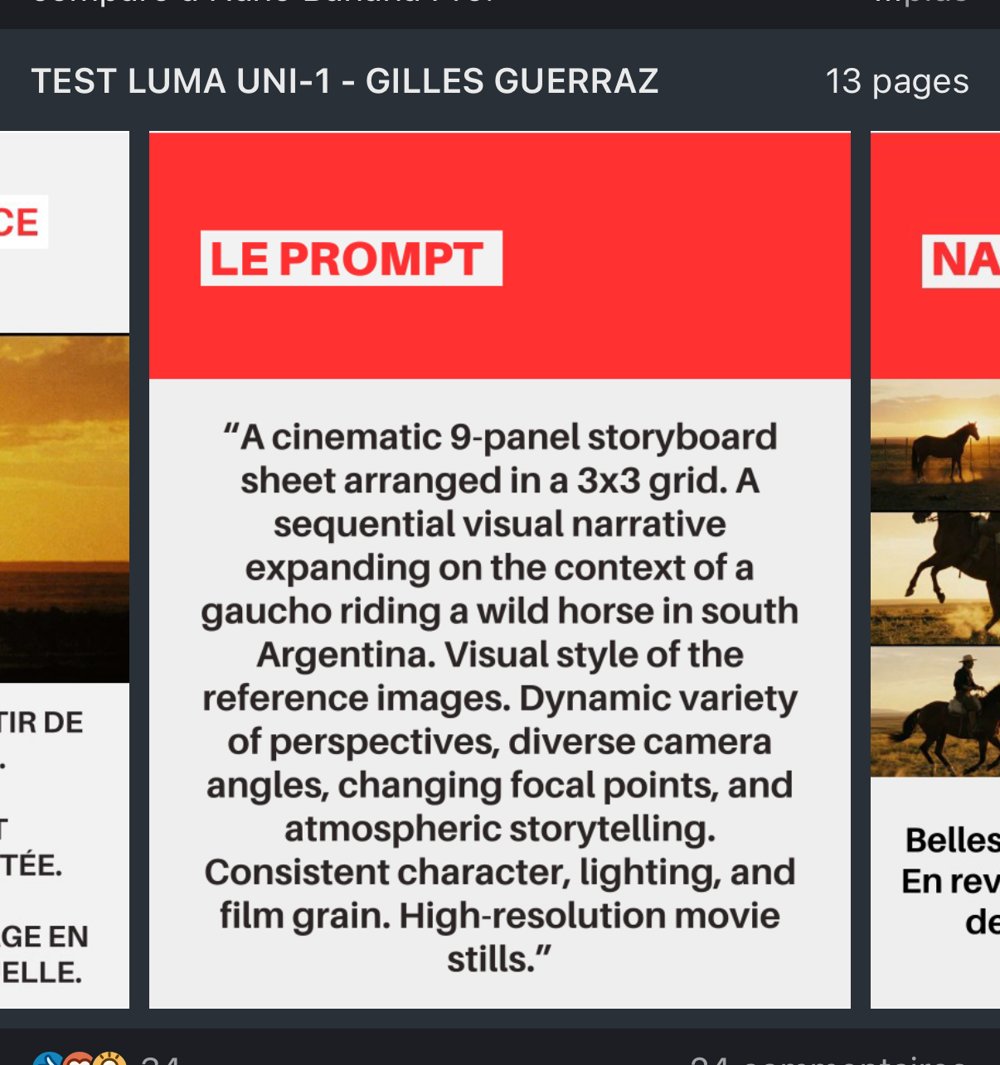 Gilles Guerraz — test Luma Uni-1, storyboard 3×3 « gaucho »