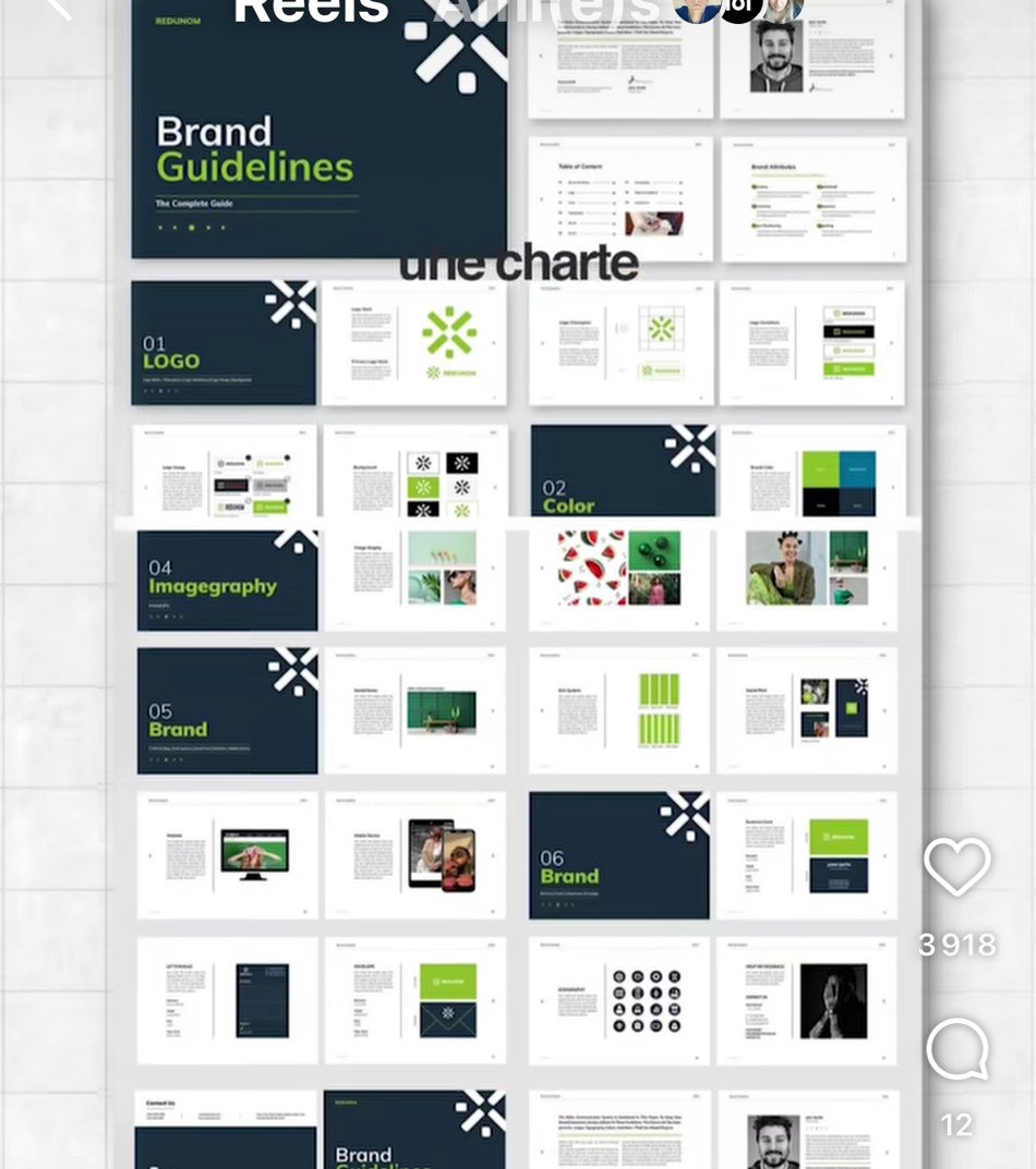 Redunom — exemple de « Brand Guidelines » complet en 8 sections (logo, couleur, imagerie, applications)