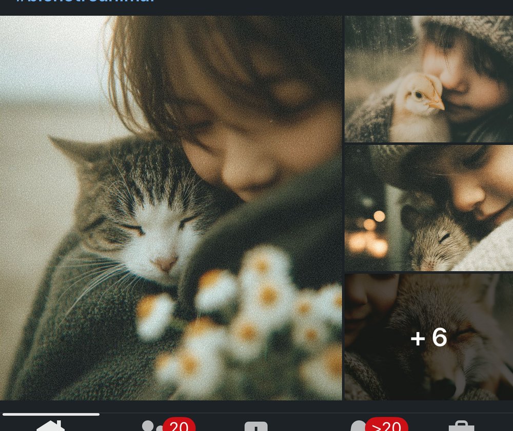 Série Midjourney enfant/animaux avec sref random et profil moodboard (Stéphane Lévêque)