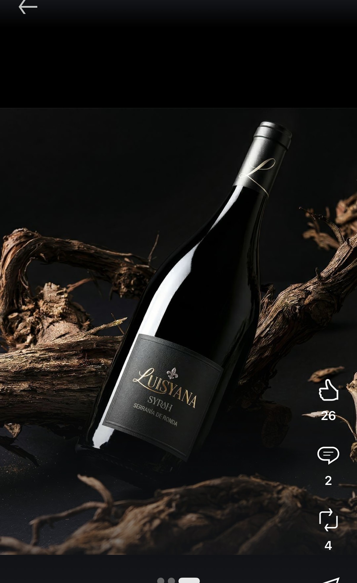 Mise en scène sur fond de bois brut sombre façon cave à vin, bouteille en contre-plongée