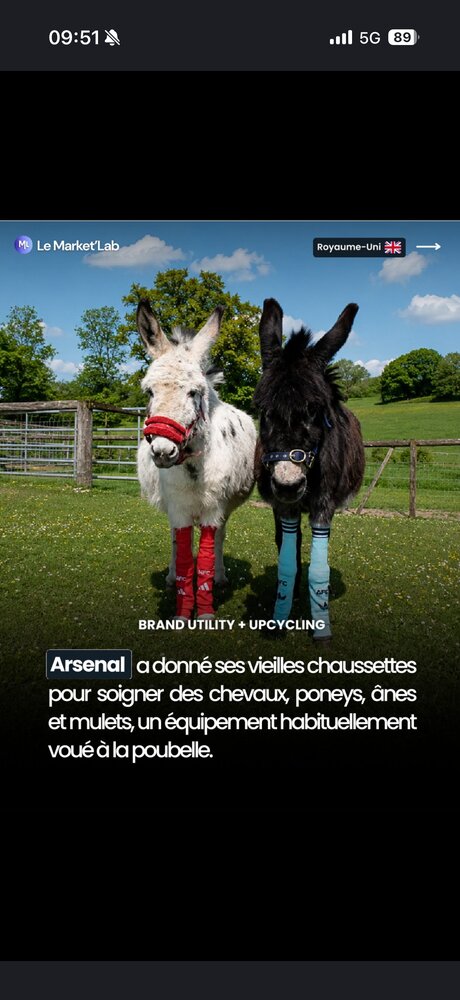 Arsenal — upcycling chaussettes pour animaux