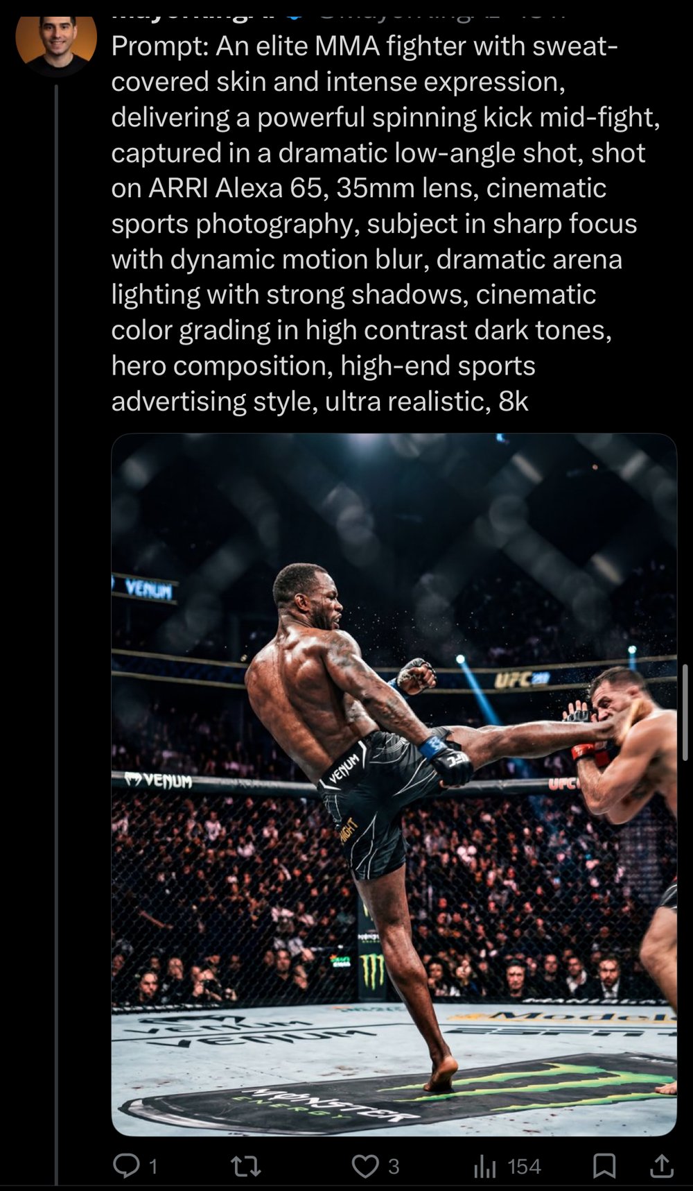 Déclinaison MMA — spinning kick, low-angle