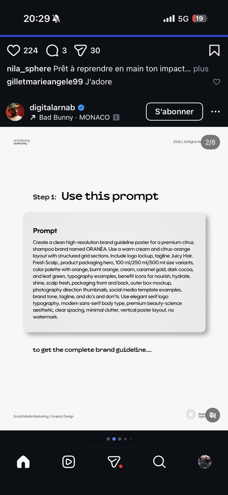 Step 1 — poster de brand guideline