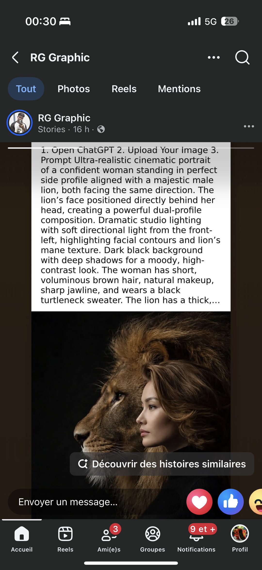 Prompt ChatGPT : portrait double profil femme et lion