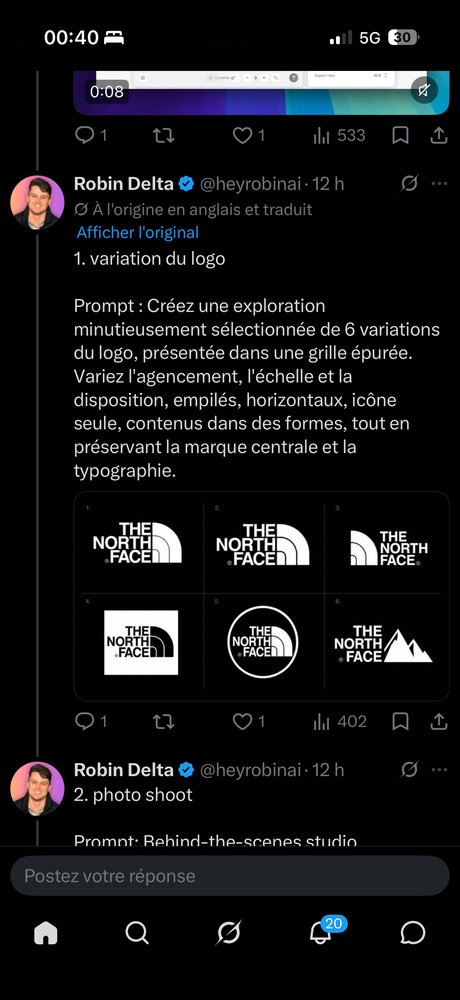 Robin Delta — 6 variations de logo The North Face en grille
