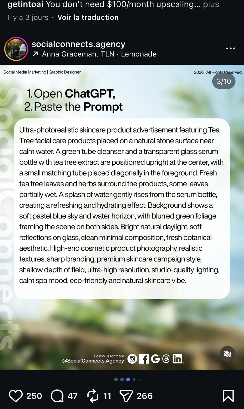 socialconnects.agency — visuel tea tree