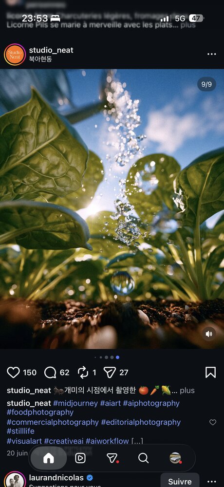 Feuilles d'épinard vues du sol avec goutte d'eau suspendue à contre-jour, ciel bleu en arrière-plan