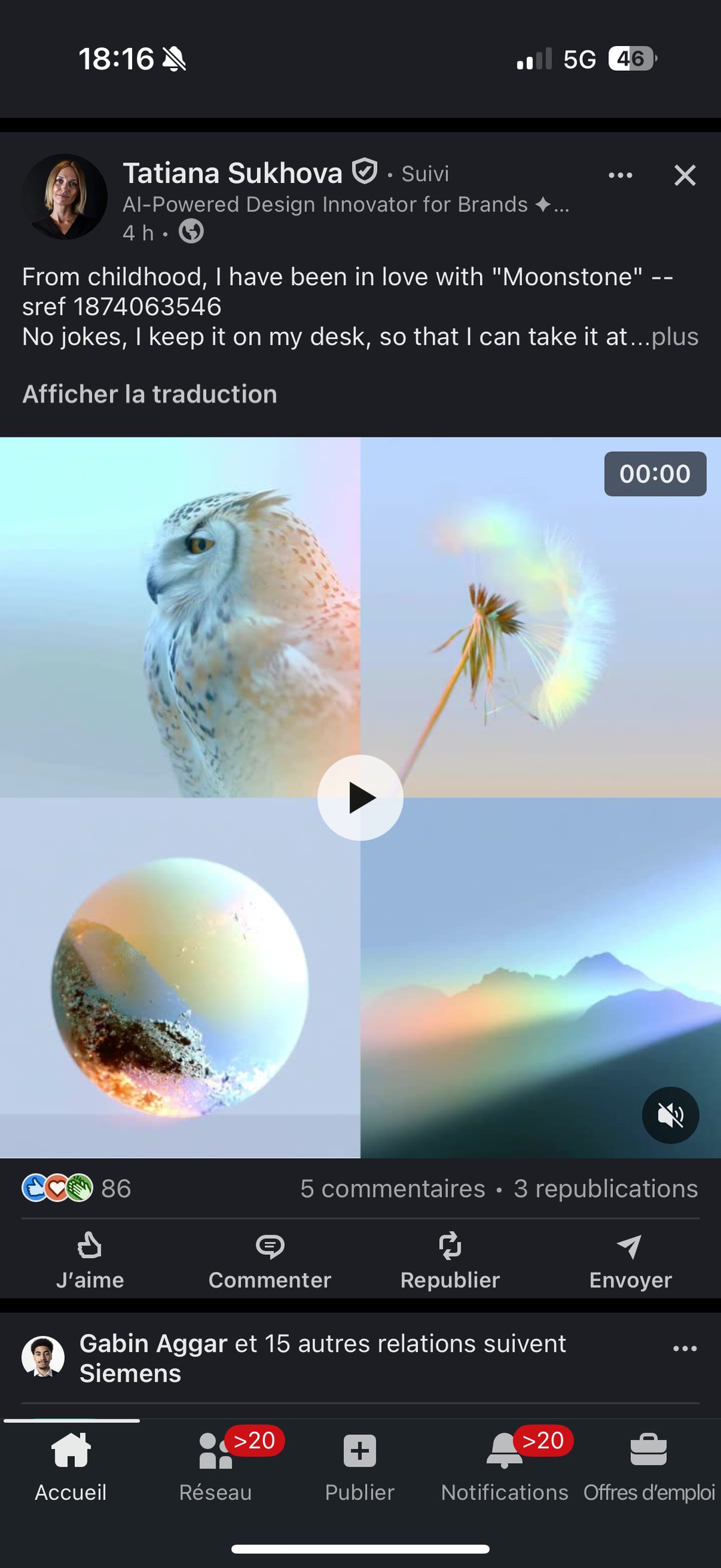 Sref Moonstone hibou pissenlit pierre de lune montagne