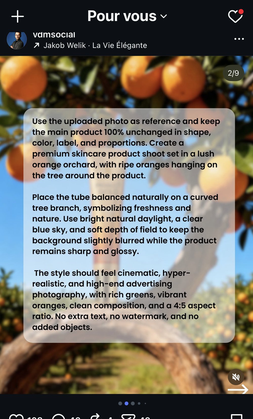 vdmsocial — decor verger orange