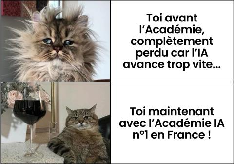 Académie IA en ligne — centraliser sa veille et sa formation