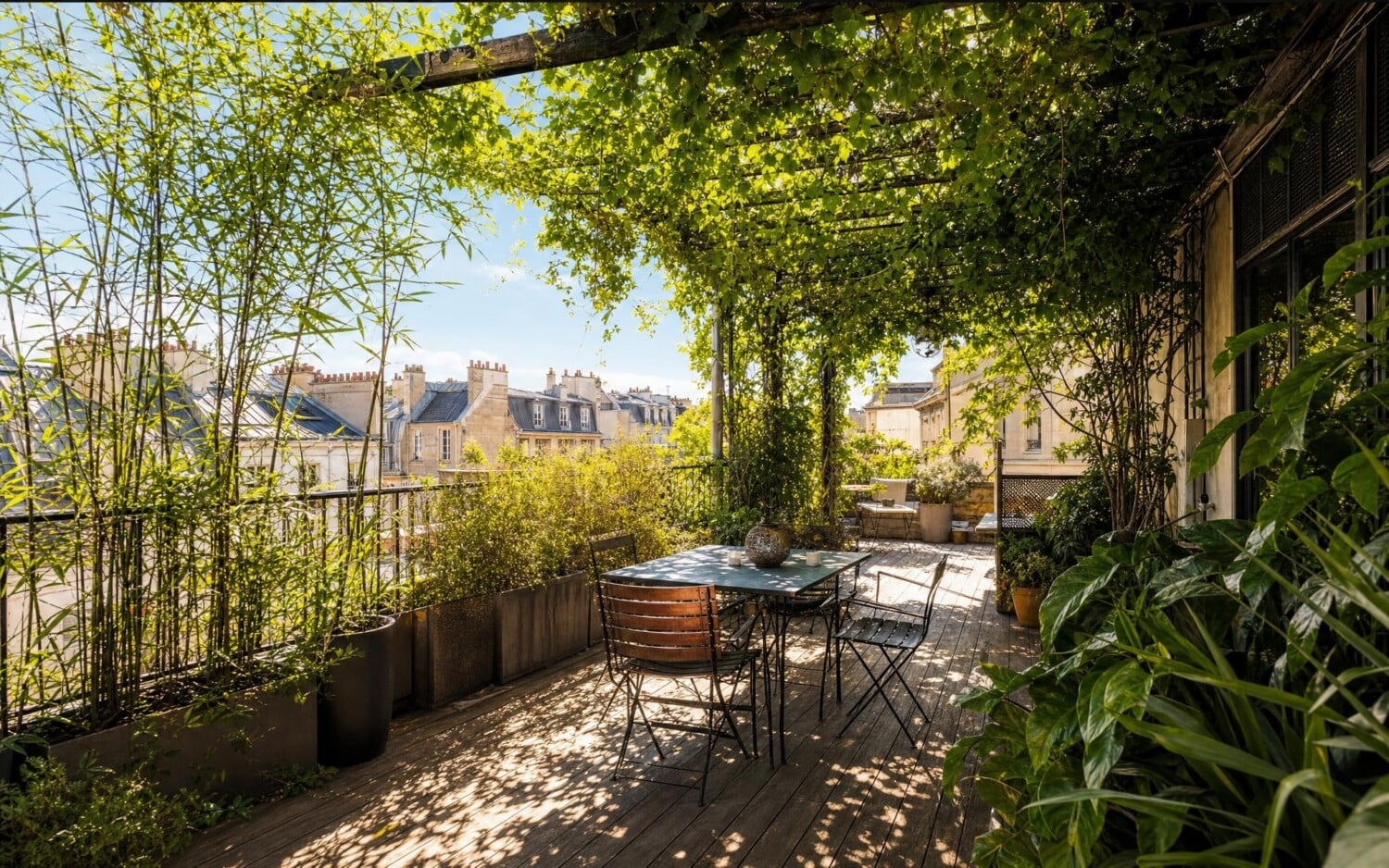 7 plantes à croissance rapide pour ombrager la terrasse